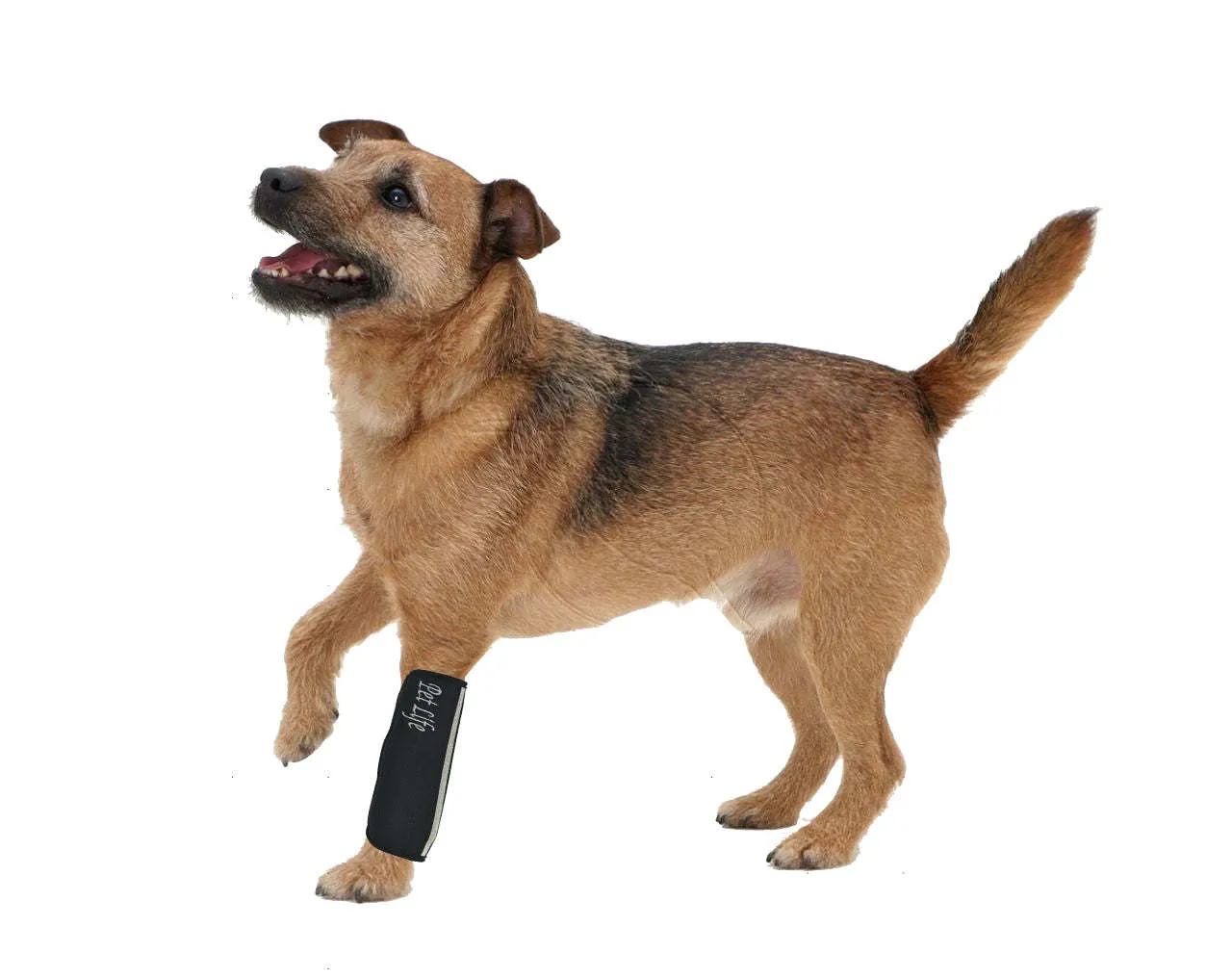 Extreme-Neoprene Protective Joint Sleeves for Dogs - Black