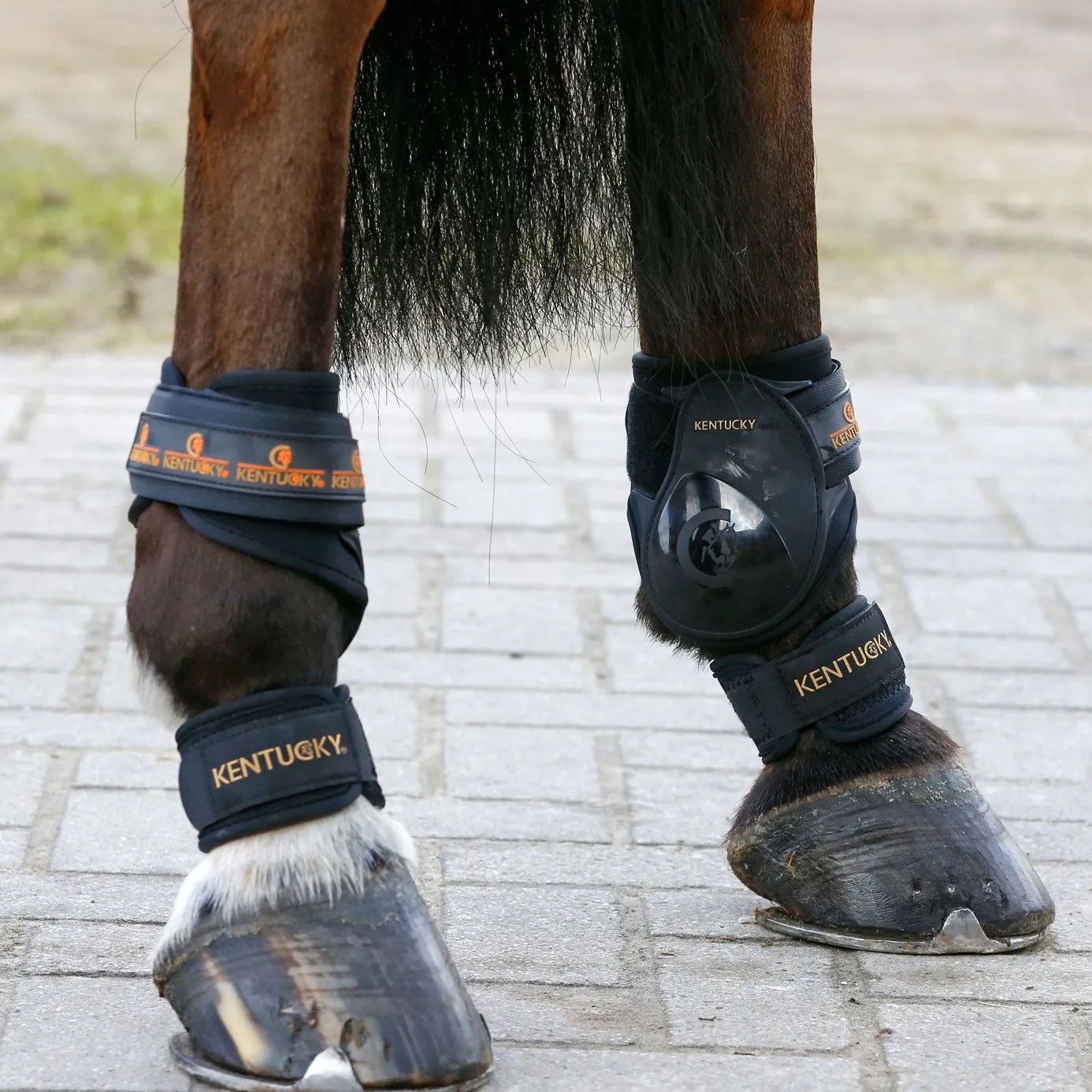 Kentucky Horsewear Pastern Wrap - Black