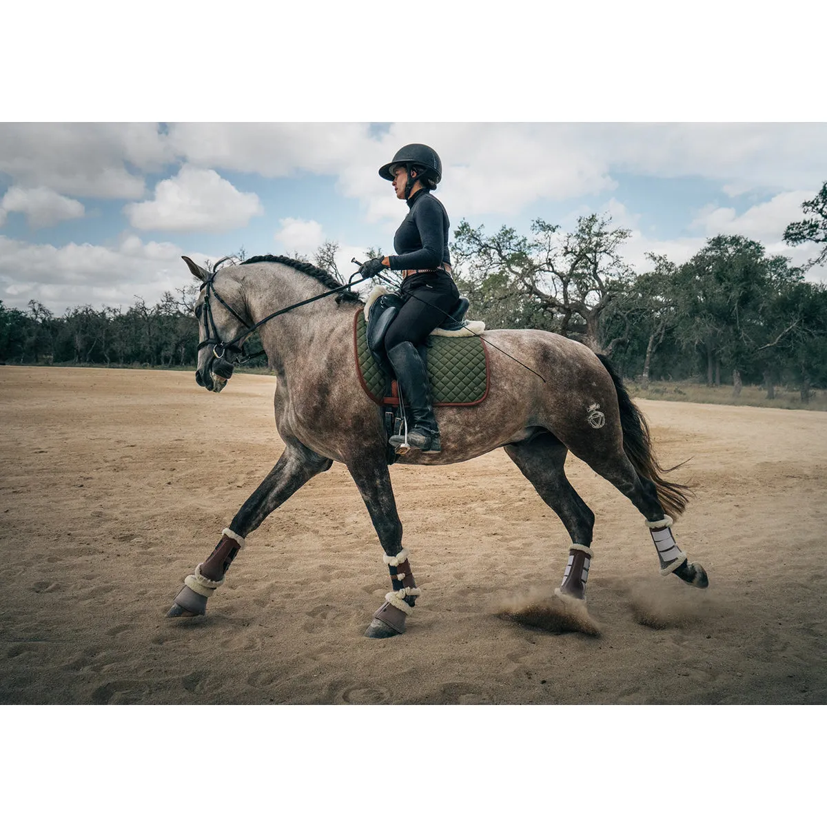 Sixteen Cypress Dressage Pad