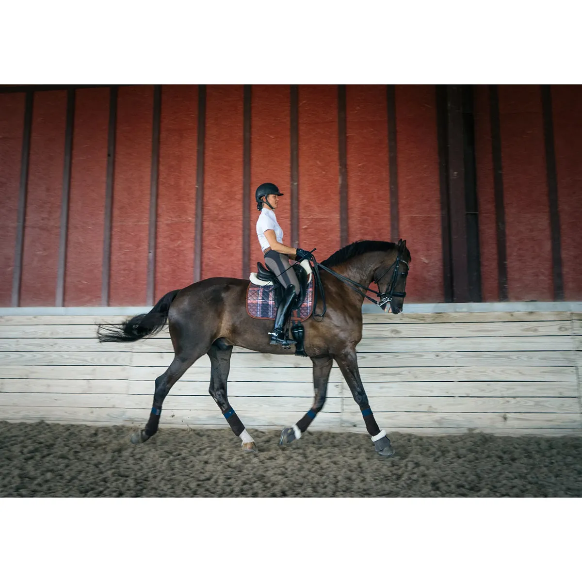 Sixteen Cypress Dressage Pad